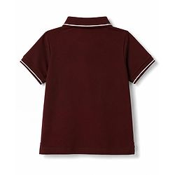 Pine Kids Cotton Knit Half Sleeves Polo T-Shirt with Colour Block Design & Text Print - Brown