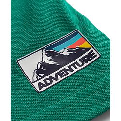 Pine Kids Cotton Knit Half Sleeves Striped Polo T-Shirt With Patch - Green & Black