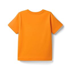 Pine Kids Cotton Knit Half Sleeves T-Shirt with Tropical Theme Graphic - Orange