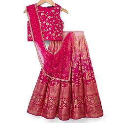 Pine Kids Woven Sleeveless Floral Embroidered Choli Lehenga Set with Dupatta - Dark Pink
