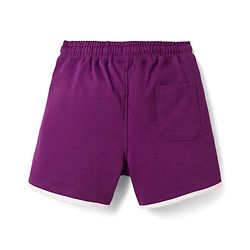 Pine Kids Looper Knit Mid Thigh  Length Shorts with Text Print - Purple