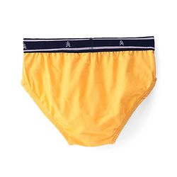 Pine Kids Cotton Elastane Knit Briefs Stripes Pack of 3 (Color May Vary)