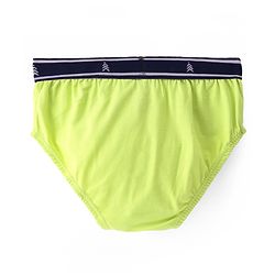 Pine Kids Cotton Elastane Knit Briefs Stripes Pack of 3 (Color May Vary)