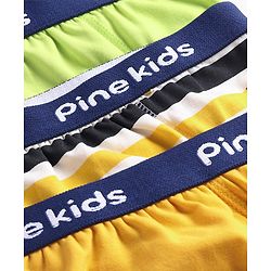 Pine Kids Cotton Elastane Knit Briefs Stripes Pack of 3 (Color May Vary)