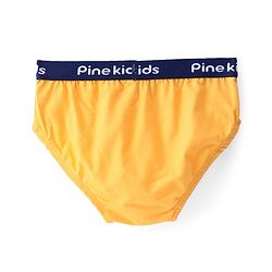 Pine Kids Cotton Elastane Knit Briefs Stripes Pack of 3 (Color May Vary)