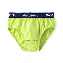 Pine Kids Cotton Elastane Knit Briefs Stripes Pack of 3 (Color May Vary)
