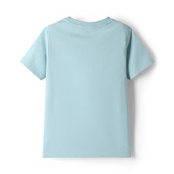 Pine Kids Cotton Knit Half Sleeves Printed T-Shirts Pack of 5 - Multicolor