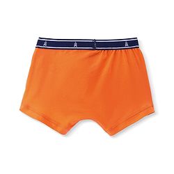 Pine Kids Cotton Knit Sea Life Printed & Solid Trunks Pack Of 3 -Multicolour