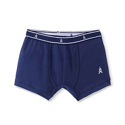 Pine Kids Cotton Knit Sea Life Printed & Solid Trunks Pack Of 3 -Multicolour