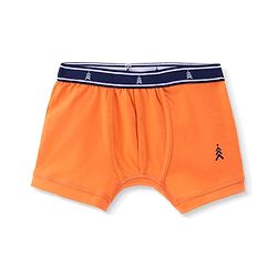 Pine Kids Cotton Knit Sea Life Printed & Solid Trunks Pack Of 3 -Multicolour
