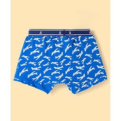 Pine Kids Cotton Elastane Knit Trunks Pack of 3 (Color May Vary)