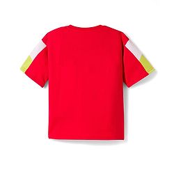 Pine Kids Looper Knit Half Sleeves T-Shirt & Shorts Set With Skateboarding Print - Red