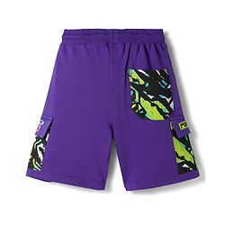 Pine Kids Looper Knit Half Raglan Sleeves Printed Hooded T-Shirt & Shorts Set - Purple