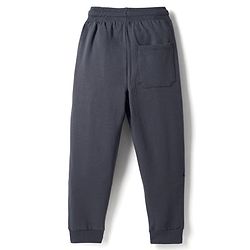 Pine Kids Terry Knit Full Length Lounge Pant With Text Print - Grey