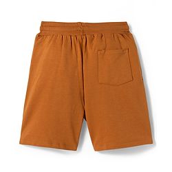 Pine Kids Single Jersey Knit Half Sleeves T-Shirt & Shorts Set with Believe Print - Light Green & Brown