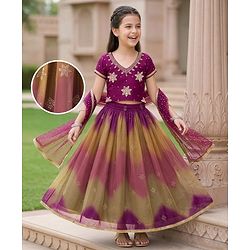 Pine Kids Woven Half Sleeves Embroidered Choli Lehenga Set With Dupatta - Multicolour