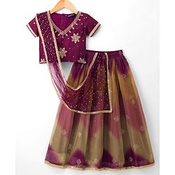 Pine Kids Woven Half Sleeves Embroidered Choli Lehenga Set With Dupatta - Multicolour