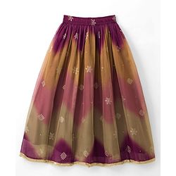 Pine Kids Woven Half Sleeves Embroidered Choli Lehenga Set With Dupatta - Multicolour