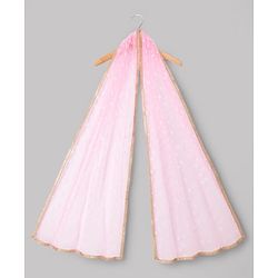Pine Kids Woven Sleeveless Floral Printed Choli Lehenga Set With Dupatta - Multicolour