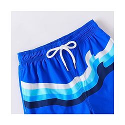 Pine Active Striped Swimming Trunk - Blue