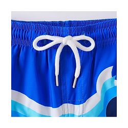 Pine Active Striped Swimming Trunk - Blue