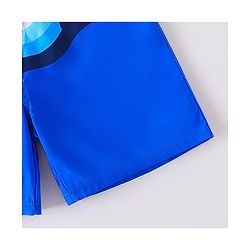 Pine Active Striped Swimming Trunk - Blue