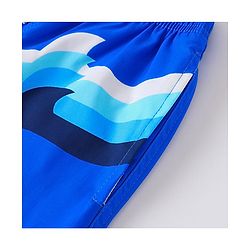 Pine Active Striped Swimming Trunk - Blue