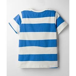 Pine Kids 100% Cotton Knit Half Sleeves Striped T-Shirt - Blue & White