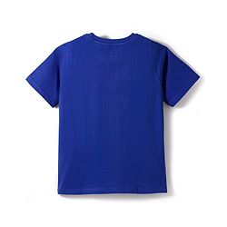 Pine Kids Disney Single Jersey Knit Half Sleeves T-Shirt With Lion King Graphics - Blue
