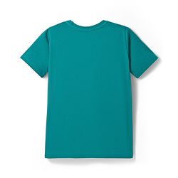 Pine Kids Cotton Knit T-Shirts Half Sleeves Printed Multi Colors Pack of 3 5-6 Years