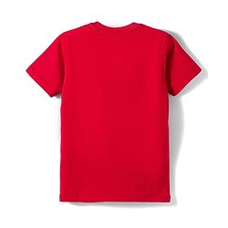 Pine Kids Cotton Knit Half Sleeves T-Shirts with Sport Print Pack of 3 - Multicolor