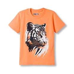 Pine Kids Cotton Knit Half Sleeves T-Shirts with Tiger & Tree Print Pack of 3 - Multicolour