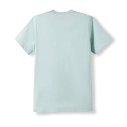 Pine Kids Cotton Knit Half Sleeves T-Shirts with Tiger & Tree Print Pack of 3 - Multicolour