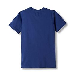 Pine Kids Cotton Knit Half Sleeves T-Shirts with Tiger & Tree Print Pack of 3 - Multicolour