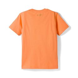 Pine Kids Cotton Knit Half Sleeves T-Shirts with Tiger & Tree Print Pack of 3 - Multicolour