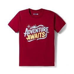 Pine Kids Cotton Knit Half Sleeves Printed T-Shirts Pack of 5 - Multicolor