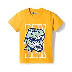 Pine Kids Cotton Knit Half Sleeves Printed T-Shirts Pack of 5 - Multicolor
