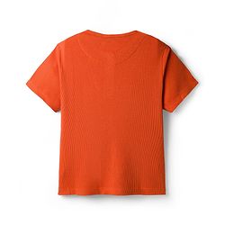 Pine Kids Cotton Blend Knit Half Sleeves Solid Colour Textured T-Shirt - Rust Orange