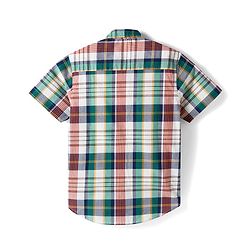 Pine Kids 100% Cotton Woven Half Sleeves Multicolour Checks Shirt for Boys 4-5Y