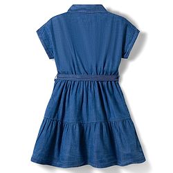 Pine Kids Cotton Woven Half Sleeves Solid Shirt Dress - Blue
