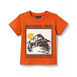 Pine Kids Cotton Knit Half Sleeves T-Shirt with National Park Print - Rust Orange