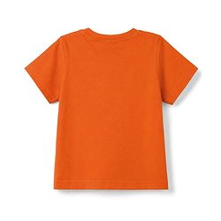 Pine Kids Cotton Knit Half Sleeves T-Shirt with National Park Print - Rust Orange