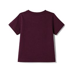Pine Kids Cotton Knit Half Sleeves Skate Theme Printed T-Shirt -Wine