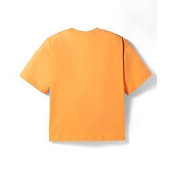 Pine Kids Disney 100% Cotton Knit Half Sleeves T-Shirt With Mickey Mouse & Friends Graphics - Orange
