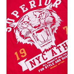 Pine Kids Cotton Knit Half Sleeves Tiger & Text Printed T-Shirts Pack Of 5 - Multicolour
