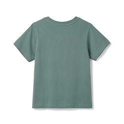 Pine Kids Cotton Knit T-Shirts Tiger Graphic Print Round Neck Half Sleeves Green 4-5 Years