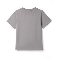 Pine Kids Cotton Knit Half Sleeves Tiger Foil Graphic T-Shirt -Grey
