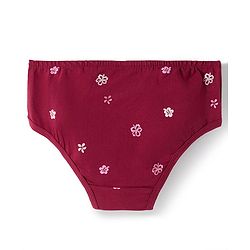 Pine Kids Disney Lycra Knit Panties With Minnie Mouse Graphics Pack of 3 - Multicolor