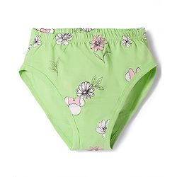 Pine Kids Disney Lycra Knit  Panties With Minnie Mouse Graphic Pack of 3 - Multicolor