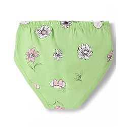 Pine Kids Disney Lycra Knit  Panties With Minnie Mouse Graphic Pack of 3 - Multicolor